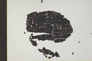 Plane Polarized, S18513