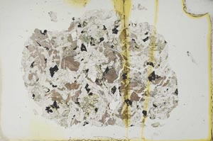 Plane Polarized, S18546