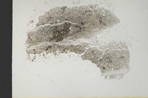 Plane Polarized, S18548