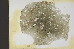 Plane Polarized, S18556