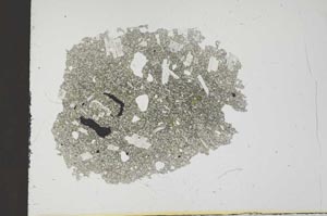 Plane Polarized, S18557
