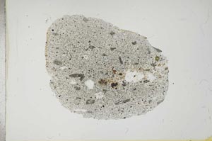 Plane Polarized, S18562
