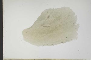 Plane Polarized, S18566