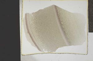 Plane Polarized, S18567