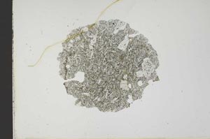Plane Polarized, S18568