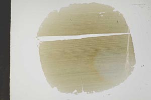 Plane Polarized, S18571