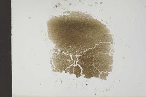 Plane Polarized, S18578