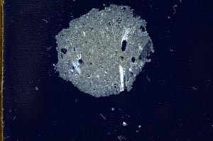 Cross Polarized, S18590