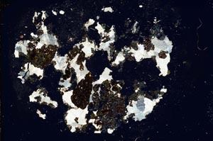 Cross Polarized, S18617