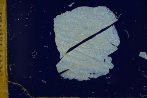 Cross Polarized, S18650