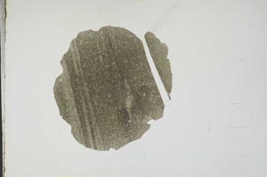 Plane Polarized, S18651