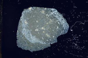 Cross Polarized, S18655