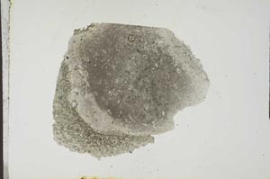 Plane Polarized, S18655