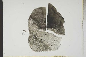 Plane Polarized, S18666