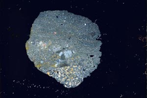 Cross Polarized, S18676