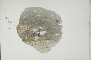 Plane Polarized, S18676