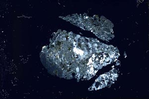 Cross Polarized, S18687