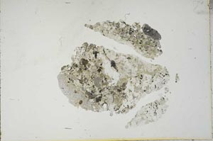 Plane Polarized, S18687