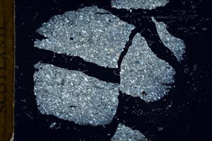 Cross Polarized, S18697