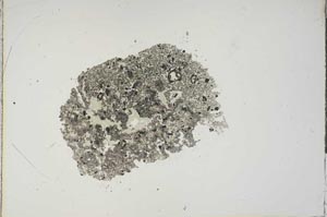 Plane Polarized, S18705