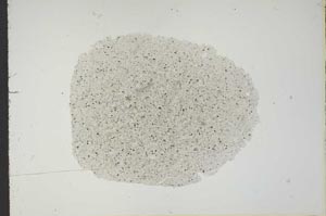 Plane Polarized, S18718