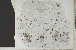 Plane Polarized, S18742/A