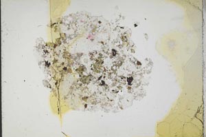 Plane Polarized, S18746
