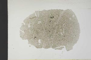 Plane Polarized, S18752