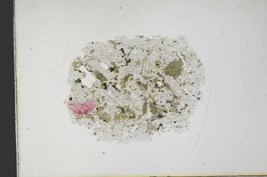 Plane Polarized, S18760