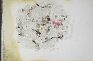 Plane Polarized, S18761