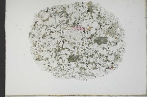 Plane Polarized, S18762