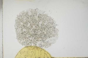 Plane Polarized, S18766