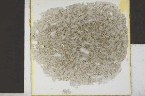 Plane Polarized, S18768