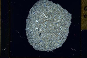 Cross Polarized, S18770/A