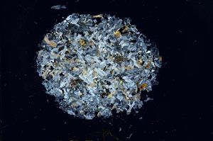 Cross Polarized, S18771