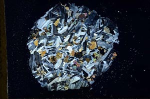 Cross Polarized, S18772