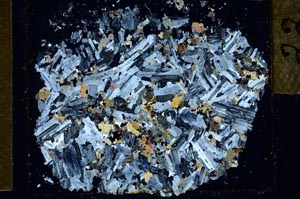 Cross Polarized, S18772/A