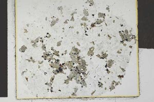 Plane Polarized, S18772/A