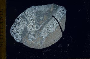 Cross Polarized, S18777