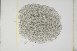 Plane Polarized, S18784