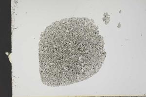 Plane Polarized, S18787