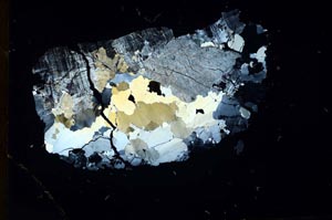 Cross Polarized, S18791