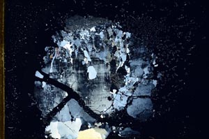 Cross Polarized, S18793