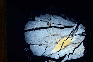 Cross Polarized, S18794