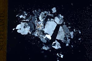 Cross Polarized, S18795