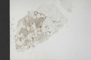 Plane Polarized, S18796