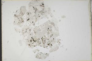 Plane Polarized, S18803