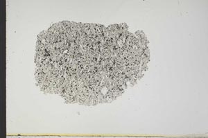 Plane Polarized, S18813
