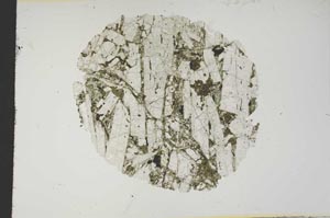 Plane Polarized, S18838