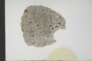 Plane Polarized, S18866